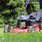Chronic Lawn Care Unveilin tha Mexican Lawnmower